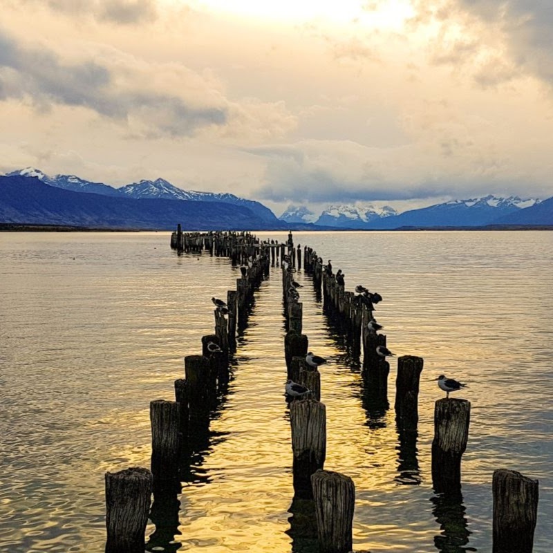 Travel Guides: Babbo around the world