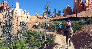 Bryce Canyon National Park, Utah, Estados Unidos. Author US NPS. No Copyright