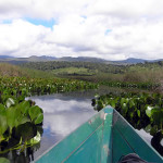 Marimbus Pantanal, Bahia, Brasil. Author and Copyright Marco Ramerini