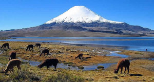 Parque Nacional Lauca e vulcão Parinacota, Chile. Autor mtchm. Licensed under the Creative Commons Attribution-Share Alike