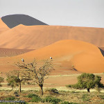 Deserto do Namibe, Namib-Naukluft, Namíbia. Autor e Copyright Marco Ramerini..