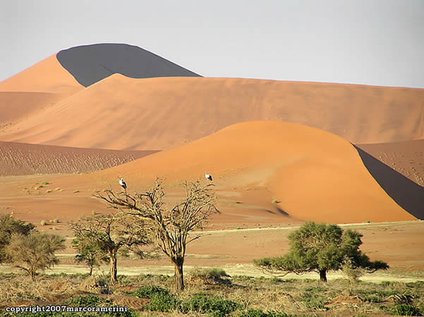 Deserto do Namibe, Namib-Naukluft, Namíbia. Autor e Copyright Marco Ramerini..