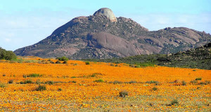 Namaqualand, África do Sul. Author and Copyright Marco Ramerini