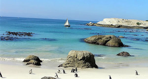 Pinguins no Foxy Beach, Boulders Beach, Cidade do Cabo, África do Sul.. Autore e Copyright Marco Ramerini