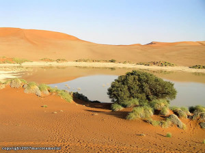Sossusvlei, Deserto do Namibe, Namib-Naukluft, Namíbia. Autor e Copyright Marco Ramerini..