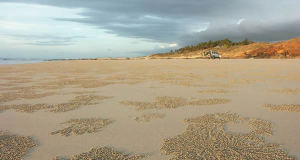 Cable Beach, Broome, Austrália Ocidental, Austrália. Author Zoharby. Licensed under the Creative Commons Attribution-Share Alike