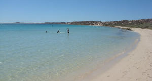 Coral Bay, Austrália Ocidental, Austrália. Author Inas. No Copyright