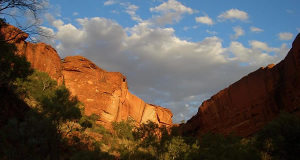 Kings Canyon Gorge, Watarrka National Park, Austrália. Author Vinci Liu. No Copyright