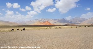 Montanhas da Ásia Central. Animais pastando após a fronteira entre o Quirguistão e a China. Autor e Copyright Marco Ramerini